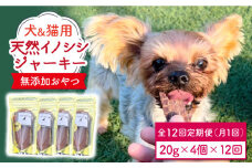 シニア犬＆幼犬＆猫用の無添加おやつ☆固すぎない天然いのししジャーキー12回定期便【わんこin食堂】 [FCG047]