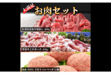 大満足♪佐賀県産和牛と手作りハンバーグ・肥前さくらポークのよくばりセット★牛肉 豚肉 ハンバーグ [FBF078]