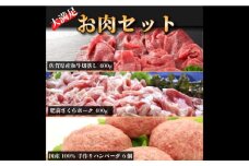 大満足♪佐賀県産和牛と手作りハンバーグ・肥前さくらポークのよくばりセット★牛肉 豚肉 ハンバーグ [FBF078]
