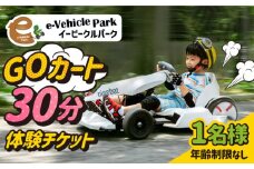 ＜こどもから大人まで！＞ゴーカート30分体験 吉野ヶ里/e-ビークルパーク [FCS001]