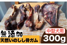 ＜中型犬用＞無添加・天然いのしし骨ガム300g（肩甲骨もしくは橈骨） 吉野ヶ里町/まちづくり会株式会社 [FBK044]