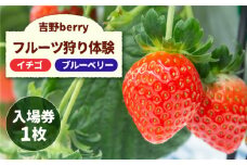 吉野ベリー入場券（1枚） 吉野ヶ里町/吉野麦米 イチゴ狩り ブルーベリー狩り [FCR001]