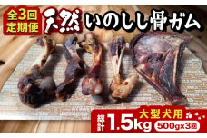 【全3回定期便】＜大型犬用＞スモーキーな香りが食欲そそる！天然いのしし骨ガム500g 総計1.5kg（大腿骨または脛骨） 吉野ヶ里町/まちづくり会株式会社 [FBK050]