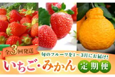 【全3回定期便】いちご・みかん定期便（1月・2月・3月お届け）リエンサーク/吉野ヶ里町 [FCC018]