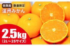 佐賀県産温州みかん 2.5kg　2S～2L [FBT046]