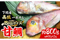 びっくりビッグサイズ！甘鯛一夜干し2尾（1尾あたり約400g） おつまみ 酒の肴 焼き物にぴったり 魚 魚介類 たい 甘鯛 一夜干し 干もの タイ 吉野ヶ里町/やきとり紋次郎 [FCJ075]