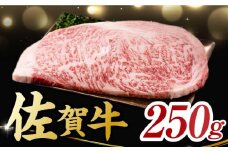 佐賀牛 サーロインステーキ 250g×1枚 ＜艶さし ！ ＞【レビューキャンペーン開催中！】| ステーキ すてーき サーロイン サーロインステーキ さーろいん  冷凍 | 吉野ヶ里町[FDB009]
