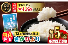 〈受付一時停止中〉【数量限定】【12回定期便】【令和5年産】さがびより 計60kg（5kg×12回） 吉野ヶ里町/増田米穀  [FBM038]