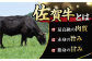 佐賀 牛肉 ステーキ 冷凍 国産牛 保存 和牛 黒毛和牛 家庭用 国産 サーロイン ヒレ A4 A5 a4 a5 霜降り 定期便