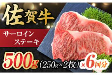 【6回定期便】 艶さし！ 佐賀牛 サーロインステーキ 計3kg （250g×2枚×6回） 吉野ヶ里町 [FDB040]