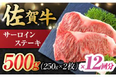 【12回定期便】 艶さし！ 佐賀牛 サーロインステーキ 計6kg （250g×2枚×12回） 吉野ヶ里町 [FDB041]