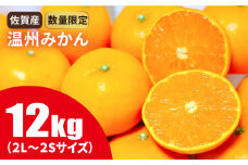 佐賀県産 温州みかん 約12kg　2S～2Lサイズ [FBT049]