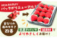 【全3回定期便】いちごさん 計1kg以上（約250g×4P）