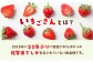 【全3回定期便】いちごさん 計1kg以上（約250g×4P）