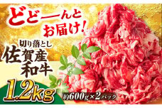 【選べる発送月】【不揃い訳あり・部位おまかせ】佐賀産和牛 切り落とし 肩orバラ 計1.2kg（600g×2） 吉野ヶ里町 [FDB001]