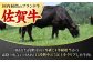 サーロインステーキ 2人前 200g×2 400g 