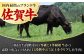 サーロインステーキ 2人前 200g×2 400g 