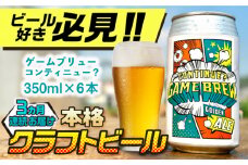 【全3回定期便】吉野ヶ里町産クラフトビール GAME BREW CONTINUE?/コンティニュー 350ml×6本セット 計18本 吉野ヶ里町/西研グラフィックス [FDG002]