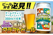 【全6回定期便】吉野ヶ里町産クラフトビール GAME BREW CONTINUE?/コンティニュー 350ml×6本セット 計36本 吉野ヶ里町/西研グラフィックス [FDG003]