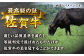 佐賀牛 赤身霜降り しゃぶしゃぶ・すき焼き用 1.2kg（600g×2パック