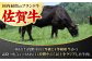 すき焼き しゃぶしゃぶに！佐賀牛 赤身とバラ肉の切り落とし 600g（300g×2P）