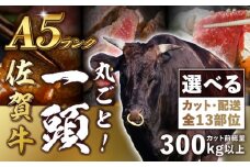 【一頭丸ごとオーダー！】 A5 佐賀牛 一頭食べ尽くしセット 黒毛和牛 オーダーカット 吉野ヶ里町/株式会社MEAT PLUS [FDB066]