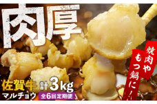 【全6回定期便】 【脂が甘くてぷりっぷり！】佐賀牛ホルモン 焼肉用 小腸 計3kg（250g/袋）味付けなし 吉野ヶ里町/やきとり紋次郎 [FCJ092]