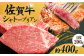 総計 400g 佐賀牛 シャトーブリアン 200g× 2枚 【最高級！とろける希少部位】 