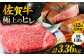 【12回定期便】 総計 3.36kg 佐賀牛 ヒレ ステーキ 140g× 2枚【極上の柔らかさ】 