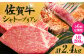 【6回定期便】 総計 2.4kg 佐賀牛 シャトーブリアン 200g× 2枚 ＜最高級！とろける希少部位＞ 