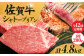 【12回定期便】  総計 4.8kg 佐賀牛 シャトーブリアン 200g× 2枚 ＜最高級！とろける希少部位＞