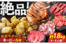 佐賀牛6種食べ比べ！ ホルモンバラエティセット 1.8kg 4-5人前 盛り合わせ タン・小腸など 吉野ヶ里町/やきとり紋次郎 [FCJ090]
