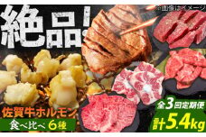 【全3回定期便】佐賀牛6種食べ比べ！ ホルモンバラエティセット 5.4kg 4-5人前 タン・小腸など 吉野ヶ里町/やきとり紋次郎 [FCJ104]