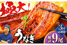 【全3回定期便】中国産 特大うなぎ蒲焼 計660g（220g×3尾）吉野ヶ里町/株式会社フジマキ うなぎ ウナギ 蒲焼 [FDM011]