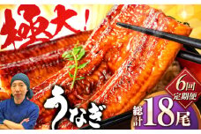 【全6回定期便】中国産 特大うなぎ蒲焼 計660g（220g×3尾）吉野ヶ里町/株式会社フジマキ うなぎ ウナギ 蒲焼 [FDM012]