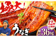 【全12回定期便】中国産 特大うなぎ蒲焼 計660g（220g×3尾）吉野ヶ里町/株式会社フジマキ うなぎ ウナギ 蒲焼 [FDM013]
