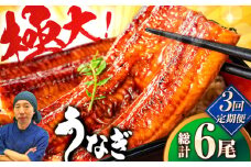 【全3回定期便】中国産 特大うなぎ蒲焼 計440g（220g×2尾）吉野ヶ里町/株式会社フジマキ うなぎ ウナギ 蒲焼 [FDM014]