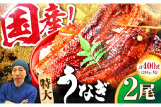 国産！九州仕立ての特大うなぎ蒲焼 計400g（200g×2尾）吉野ヶ里町/株式会社フジマキ うなぎ ウナギ 国産 [FDM002]