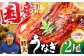 うなぎ ウナギ 国産