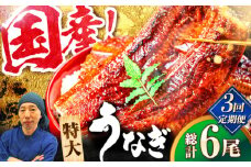 【全3回定期便】国産！九州仕立ての特大うなぎ蒲焼 計400g（200g×2尾）吉野ヶ里町/株式会社フジマキ うなぎ ウナギ 国産 [FDM008]