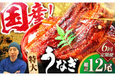 【全6回定期便】国産！九州仕立ての特大うなぎ蒲焼 計400g（200g×2尾）吉野ヶ里町/株式会社フジマキ うなぎ ウナギ 国産 [FDM009]