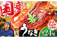 【全12回定期便】国産！九州仕立ての特大うなぎ蒲焼 計400g（200g×2尾）吉野ヶ里町/株式会社フジマキ うなぎ ウナギ 国産 [FDM010]