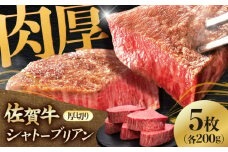 佐賀牛ヒレシャトーブリアン　200g×5枚 肉 牛肉 ステーキ 吉野ヶ里町/久田精肉店 [FDN009]