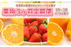 【全3回定期便・1月発送開始】佐賀県産フルーツ定期便（柑橘・苺） 吉野ヶ里町 [FBT053]