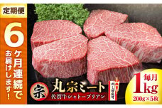 【全6回定期便】佐賀牛 ヒレシャトーブリアン 200g×5枚 吉野ヶ里町/丸宗ミート [FDP007]