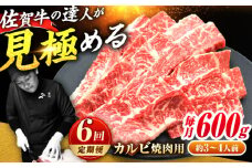 【全6回定期便】高評価!  佐賀牛 カルビ 600g 肉 牛 牛肉 吉野ヶ里町/ミートフーズ華松 [FAY103]
