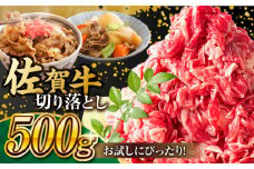 【2025年11月発送】艶さし！ 佐賀牛 切り落とし 肩orバラ 500g 吉野ヶ里町 [FDB006]