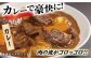 佐賀牛ヒレ サイコロステーキ480g