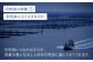 海苔 のり 塩のり