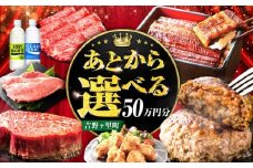 【あとから選べる】吉野ヶ里町 ふるさとギフト 50万円分 / あとから寄附 あとからギフト 選べる寄附 50万円 500000円 / 吉野ヶ里町 [FZZ023]